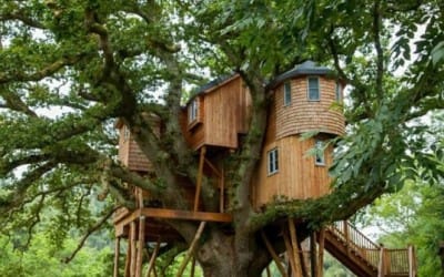 What Is It About Tree Houses