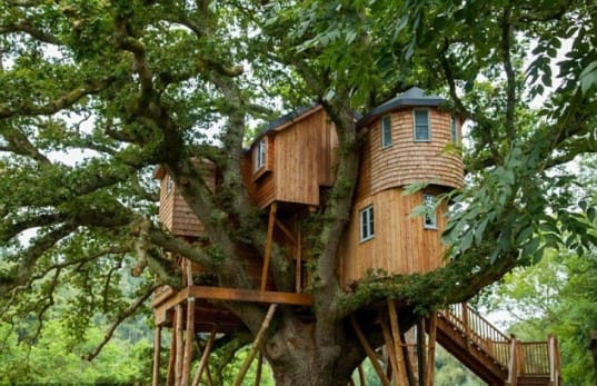 What Is It About Tree Houses